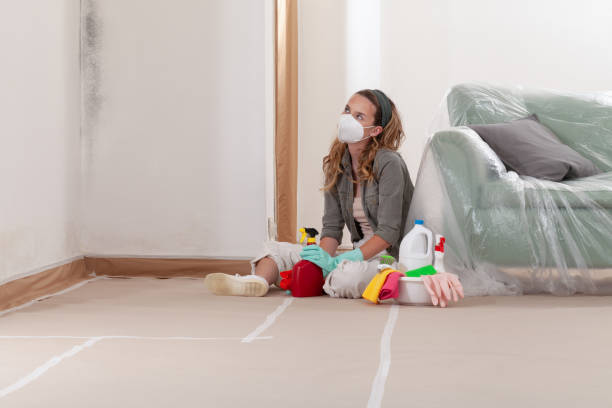 Reliable Mold Remediation contractor in Shelbyville, IL by WQB Mold Removal
